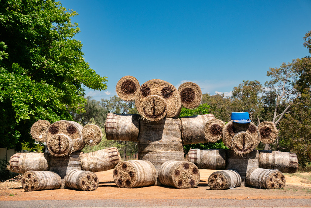 Waroona by Paul Amyes on 500px.com