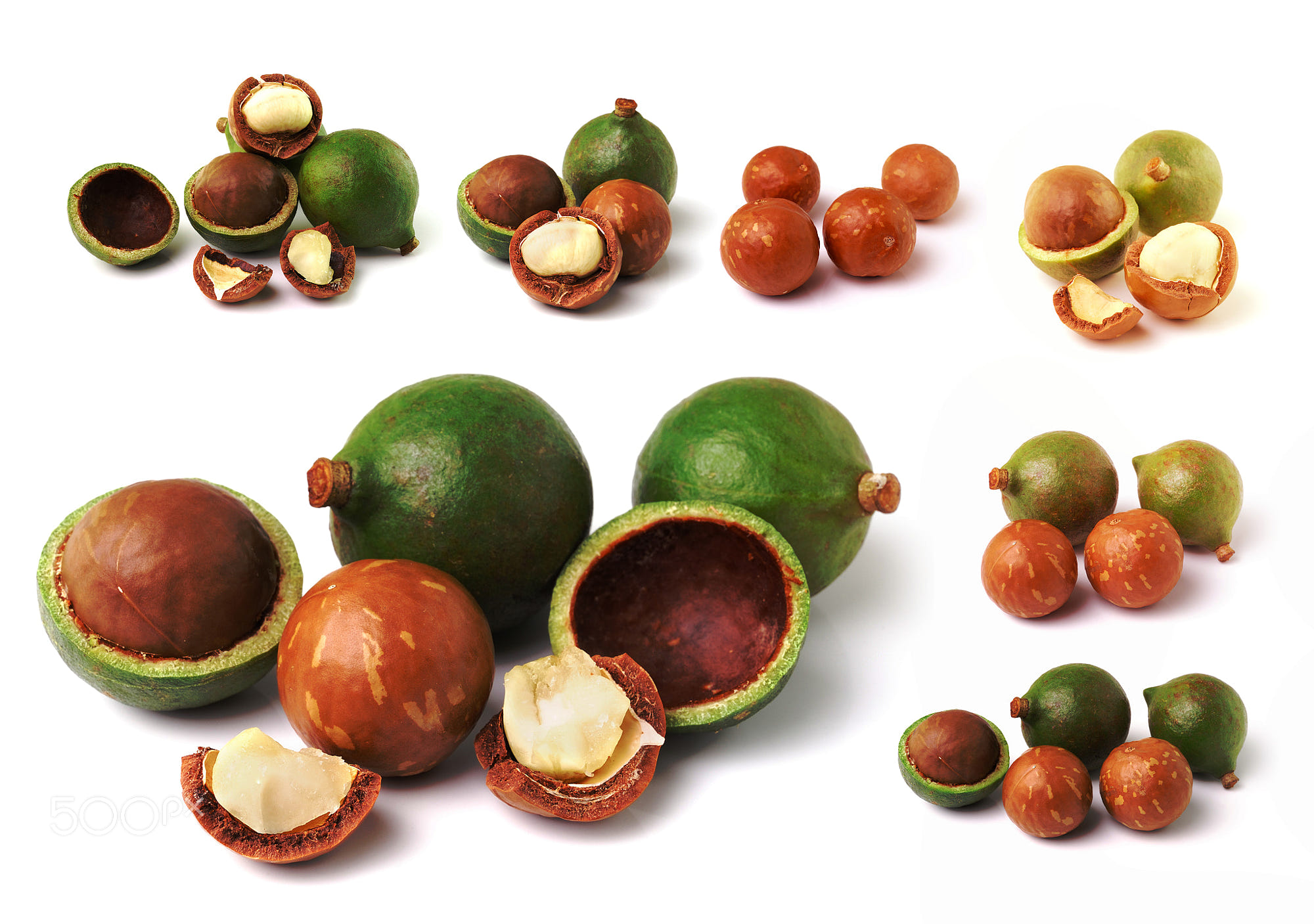 macadamia nuts isolated on white background: macadamia nuts isolated on white background