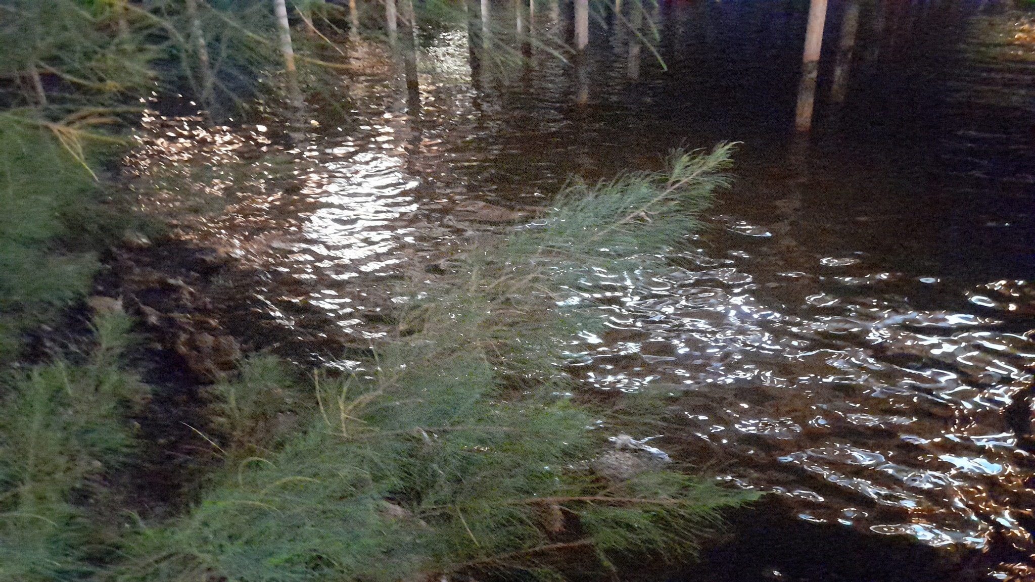 v2?sig=2d59e96115f823cb1e97e774811126c84f30ceff3ad78dd8211d86df8c36869a