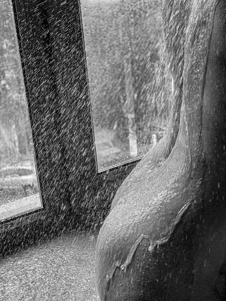 Summer shower by SAM on 500px.com