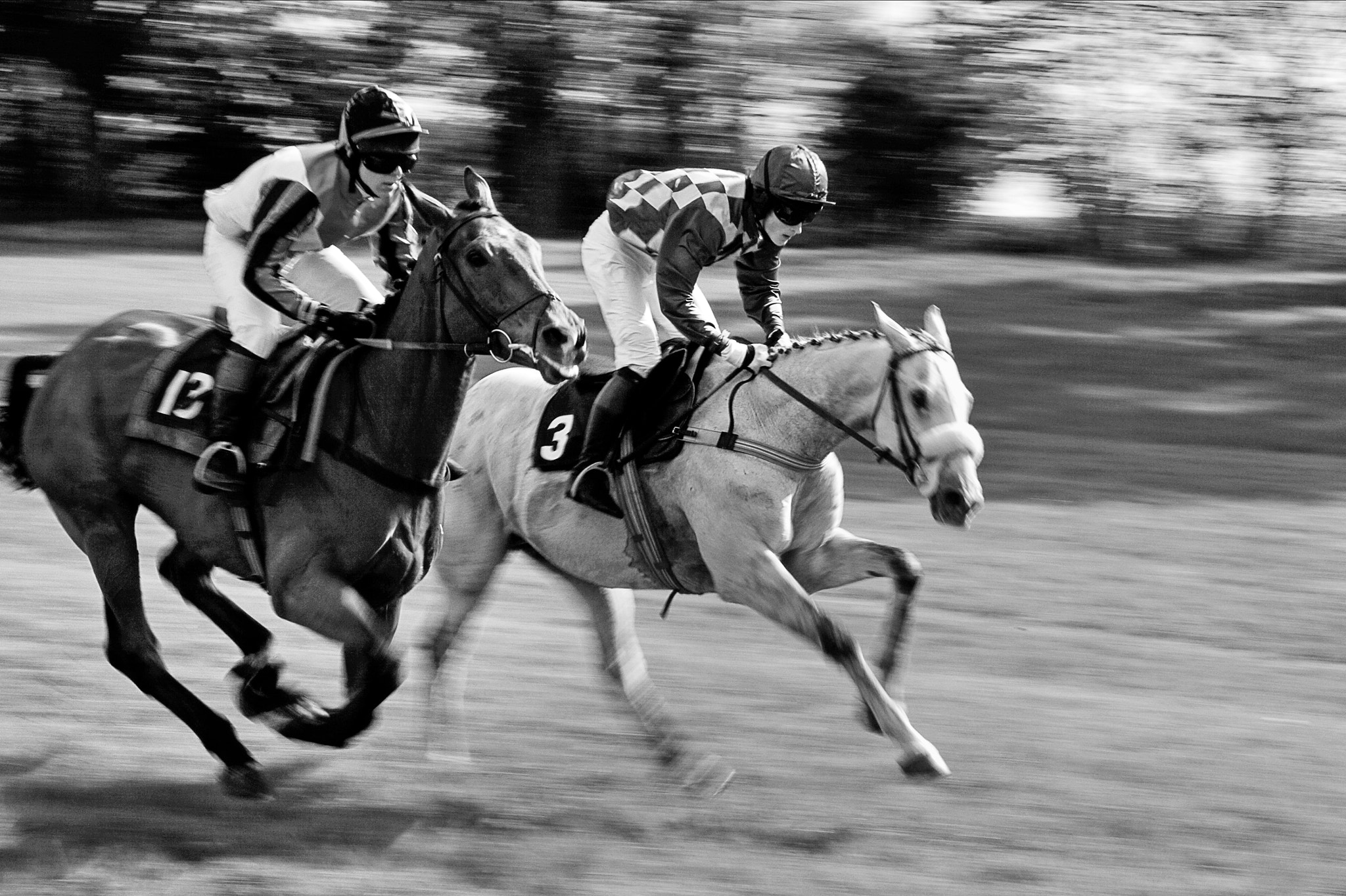Point to Point Racing at Godstone Surrey