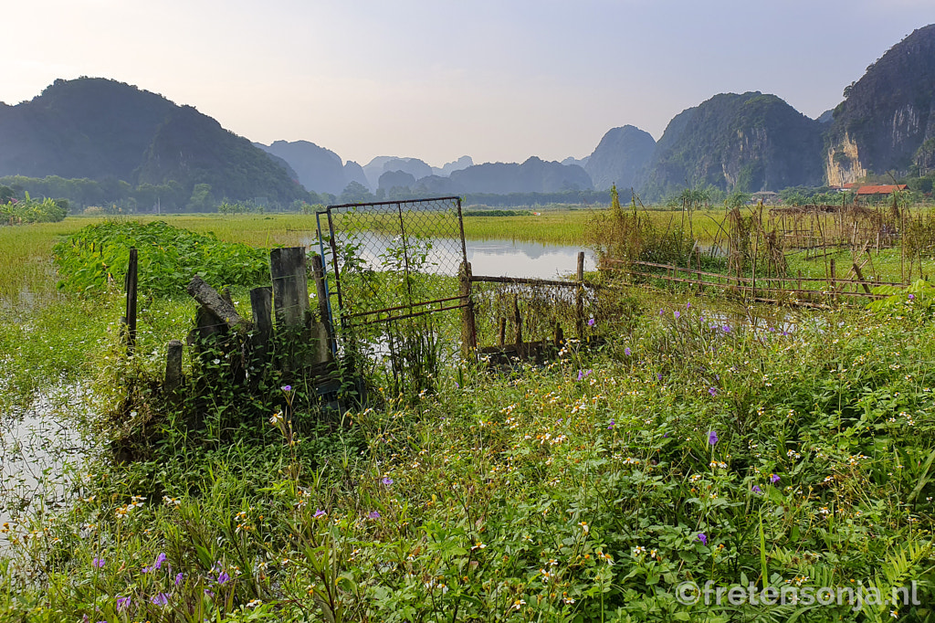 Tam Coc by www.fretensonja.nl on 500px.com