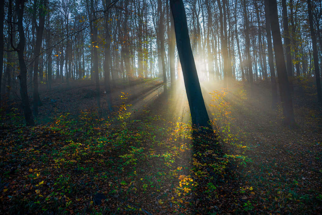 I put on my sunglasses.. by Szilard Jozsa / 500px