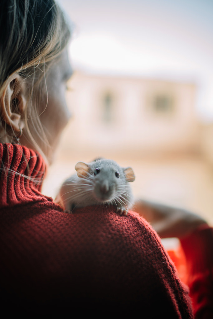 Gros plan d'une fille tenant un rongeur par Olha Dobosh sur 500px.com