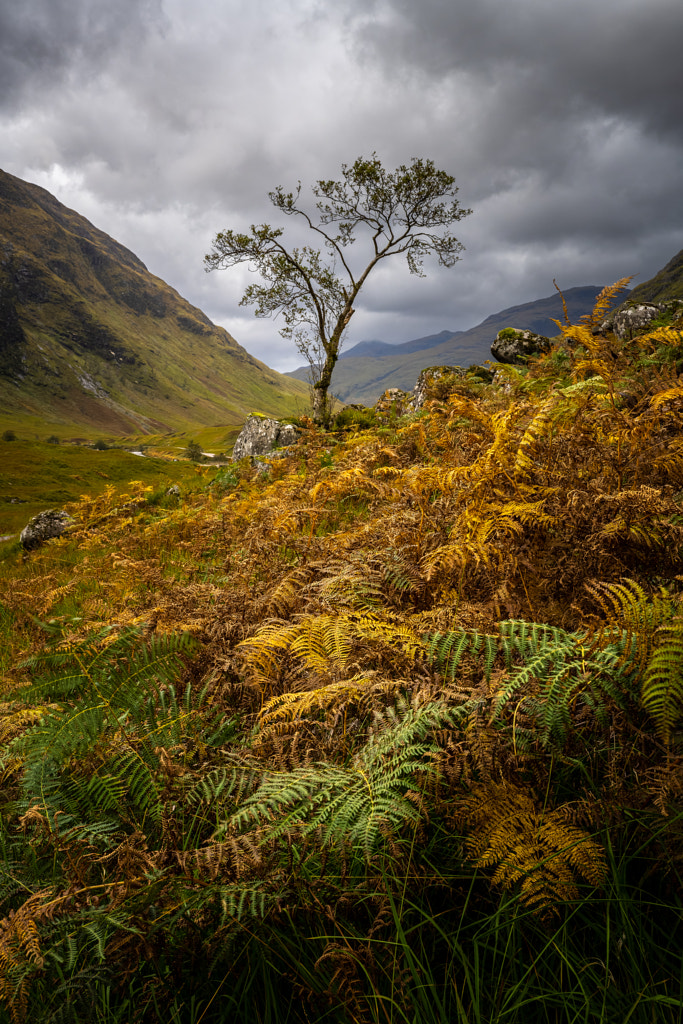 Letters of Nature, Scotland by Fabien Guittard on 500px.com