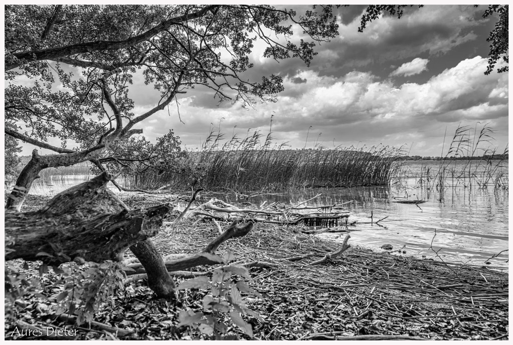 Am Ammersee Strand by Dieter Aures / 500px