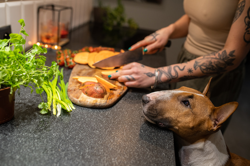 Woman with tattoos preparing food with a dog by Iza ?yso? on 500px.com