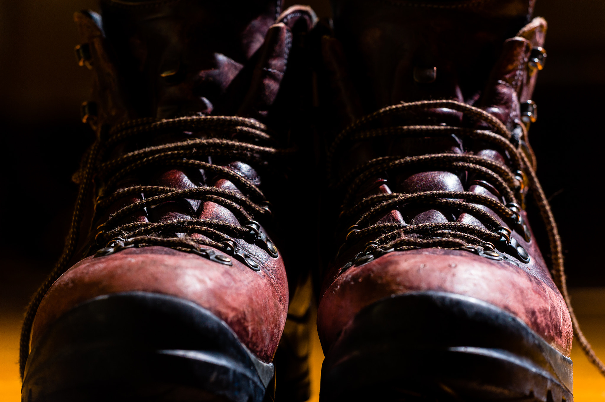 Sigma 150mm F2.8 EX DG Macro HSM sample photo. Come out and play photography