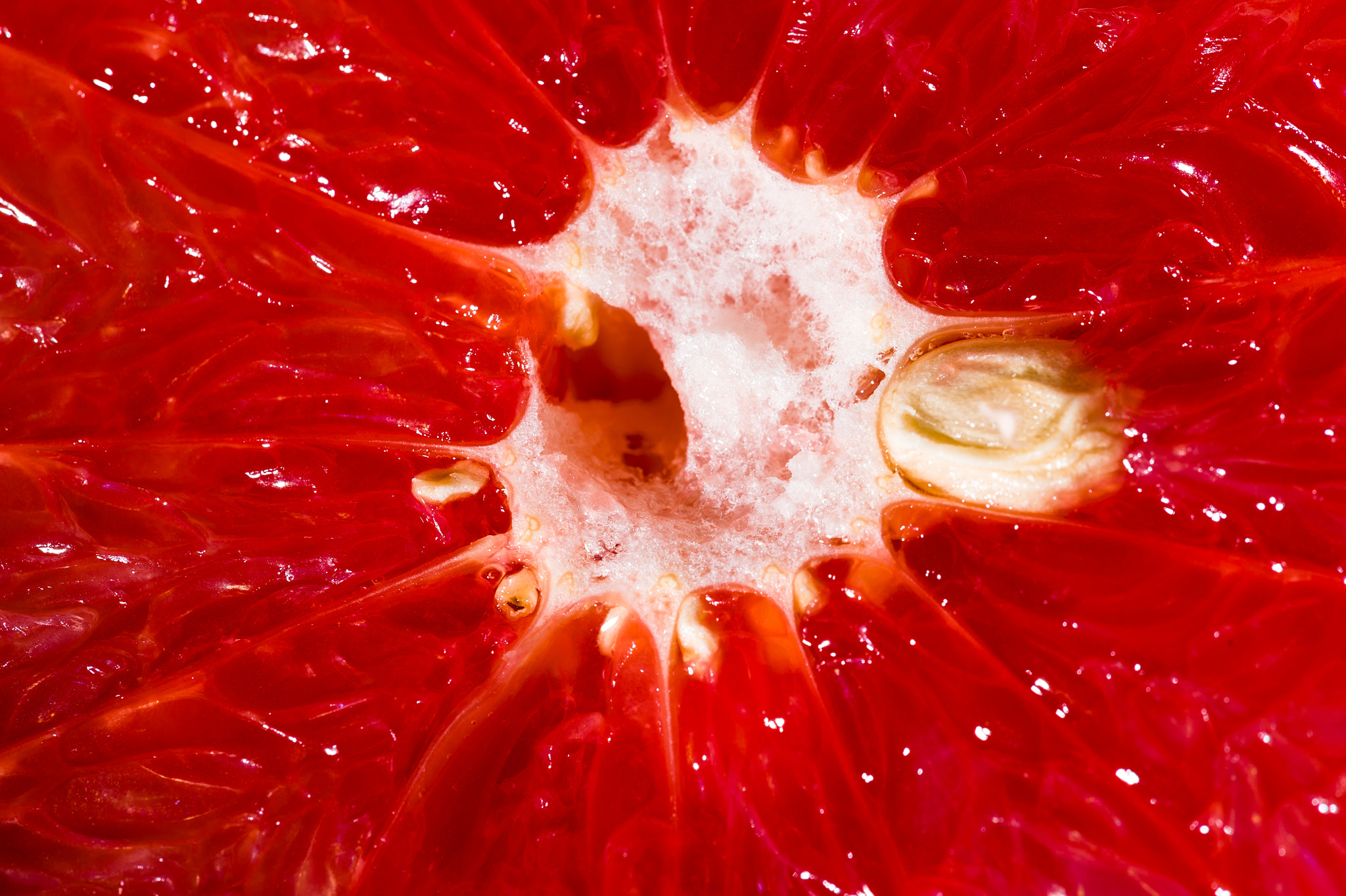 Sigma 150mm F2.8 EX DG Macro HSM sample photo. Pucker up photography