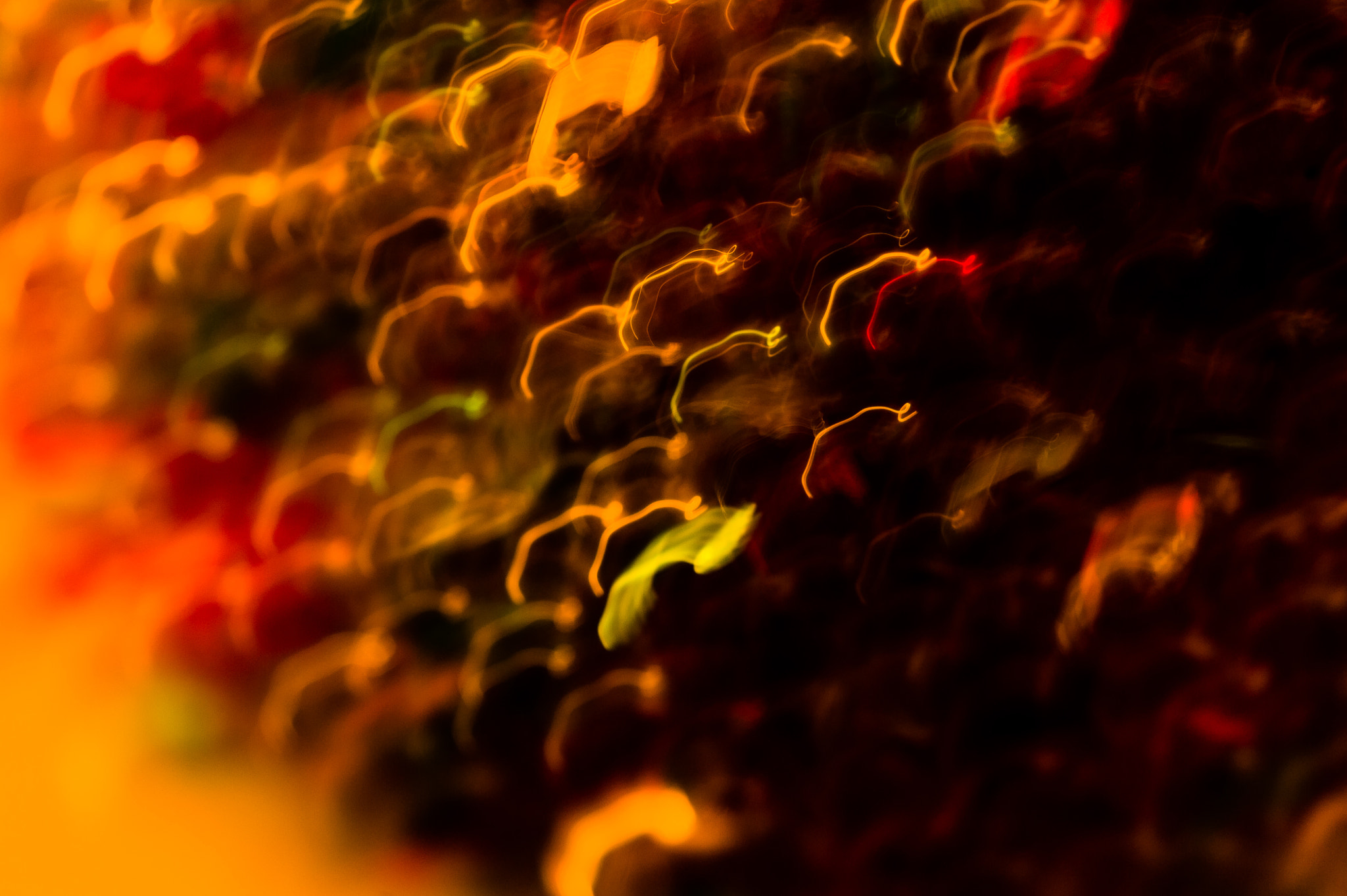 Sigma 150mm F2.8 EX DG Macro HSM sample photo. Electric avenue photography