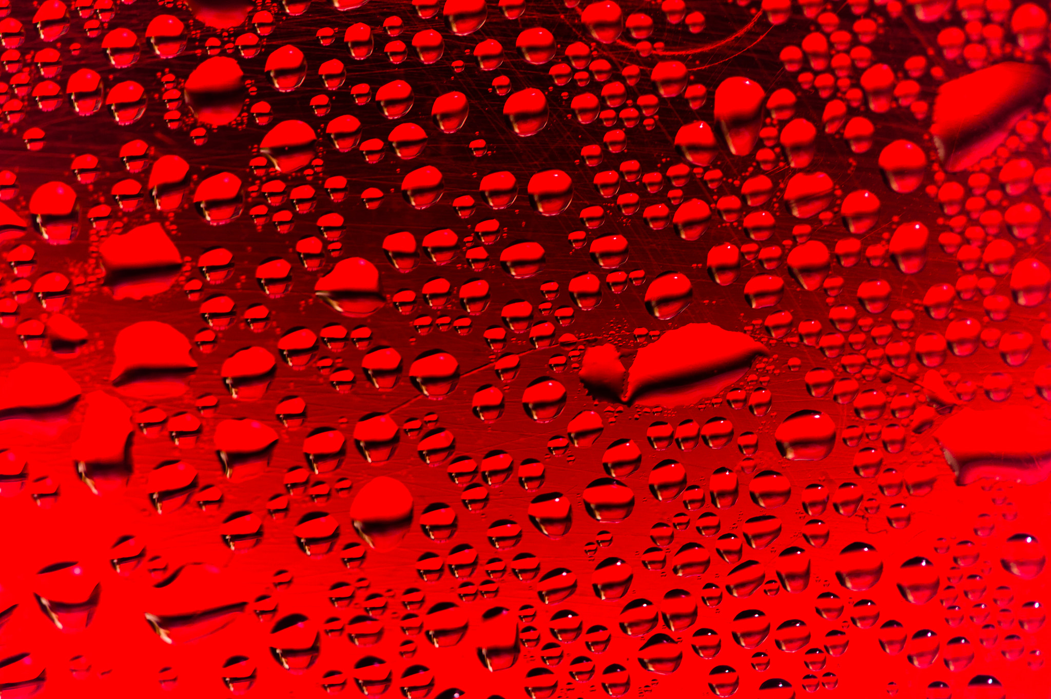Sigma 150mm F2.8 EX DG Macro HSM sample photo. Trippy photography