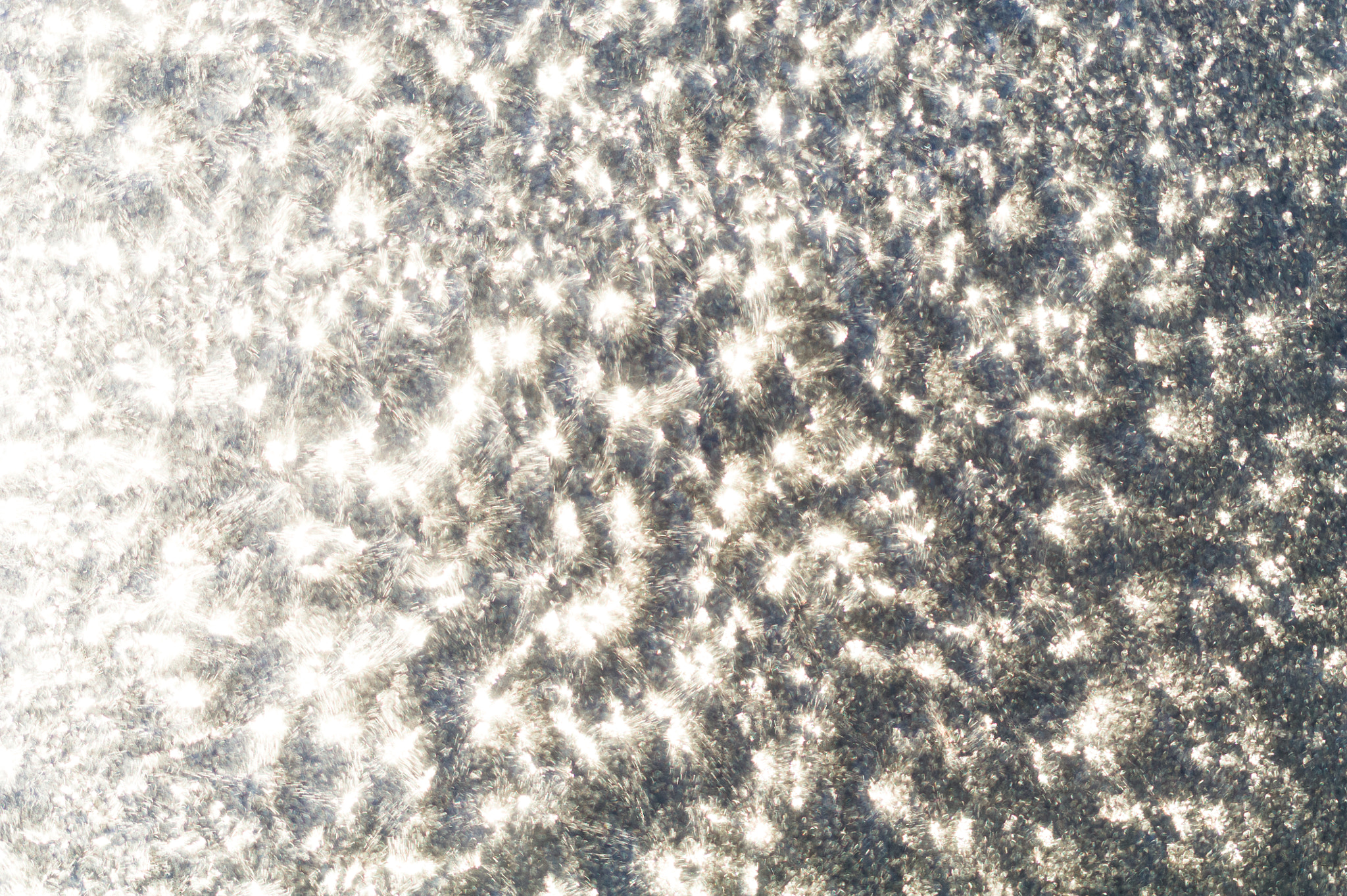 Sigma 150mm F2.8 EX DG Macro HSM sample photo. But it's a dry cold photography