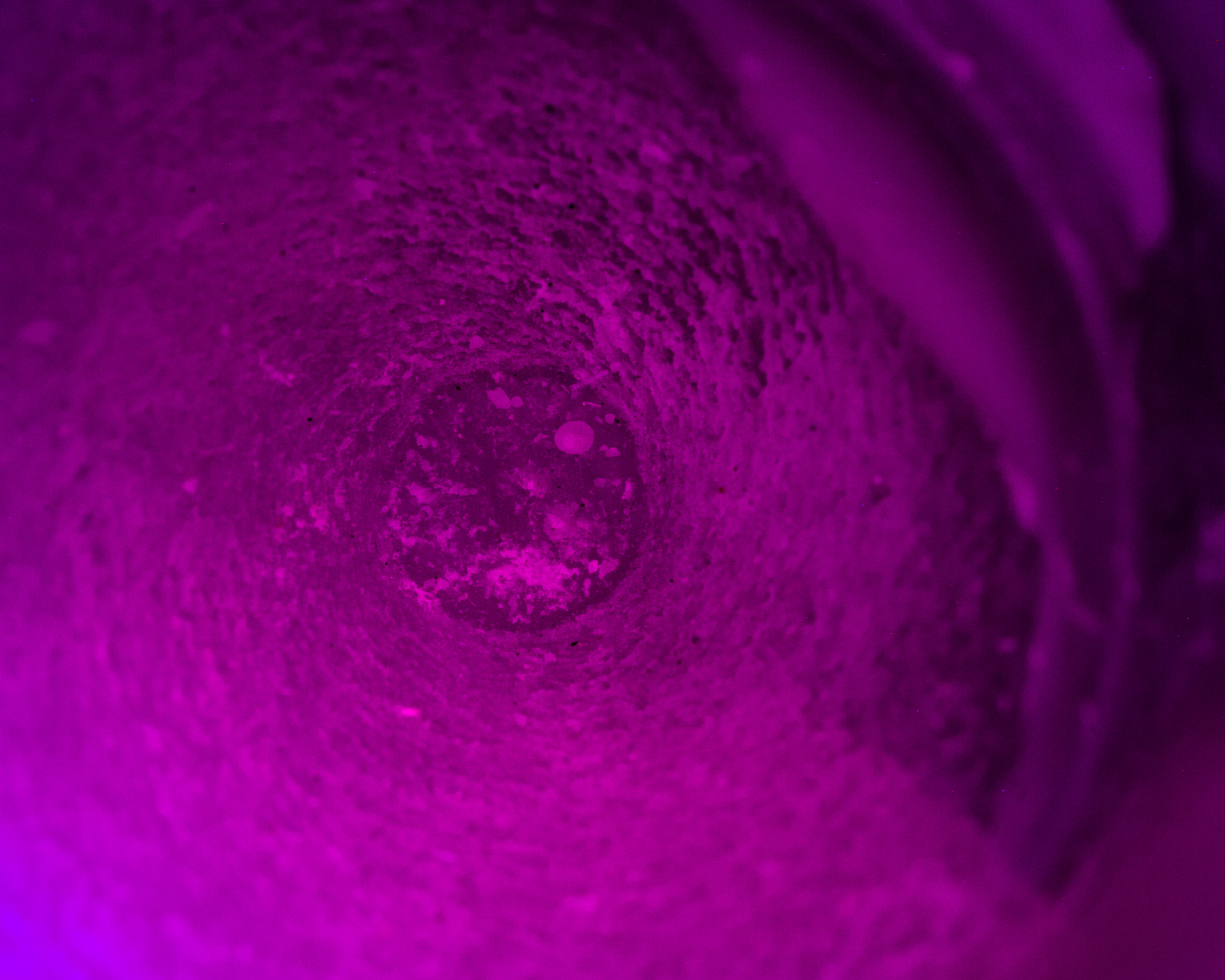 Sigma 150mm F2.8 EX DG Macro HSM sample photo. Time travel photography