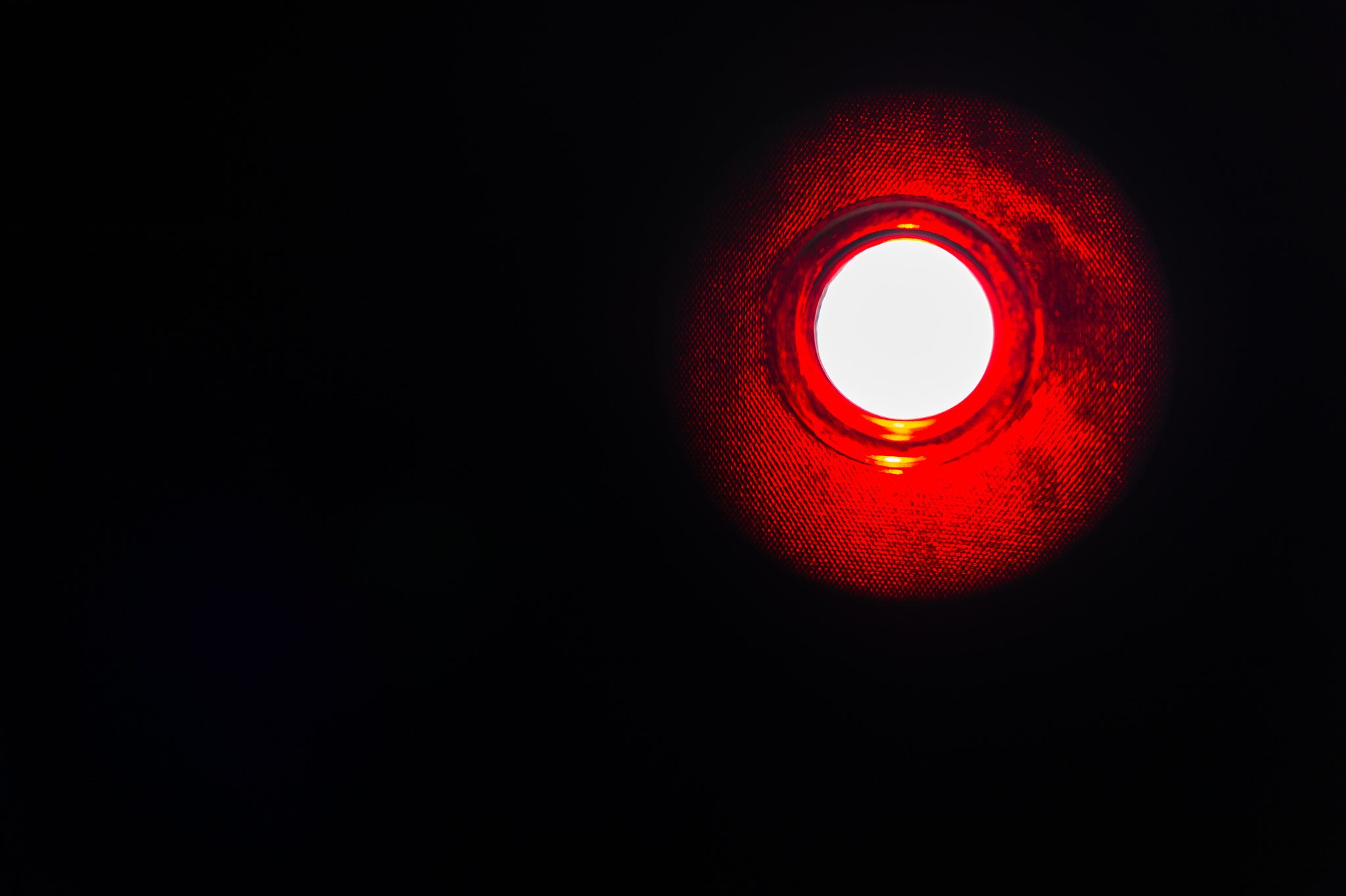 Sigma 150mm F2.8 EX DG Macro HSM sample photo. Alarmed photography