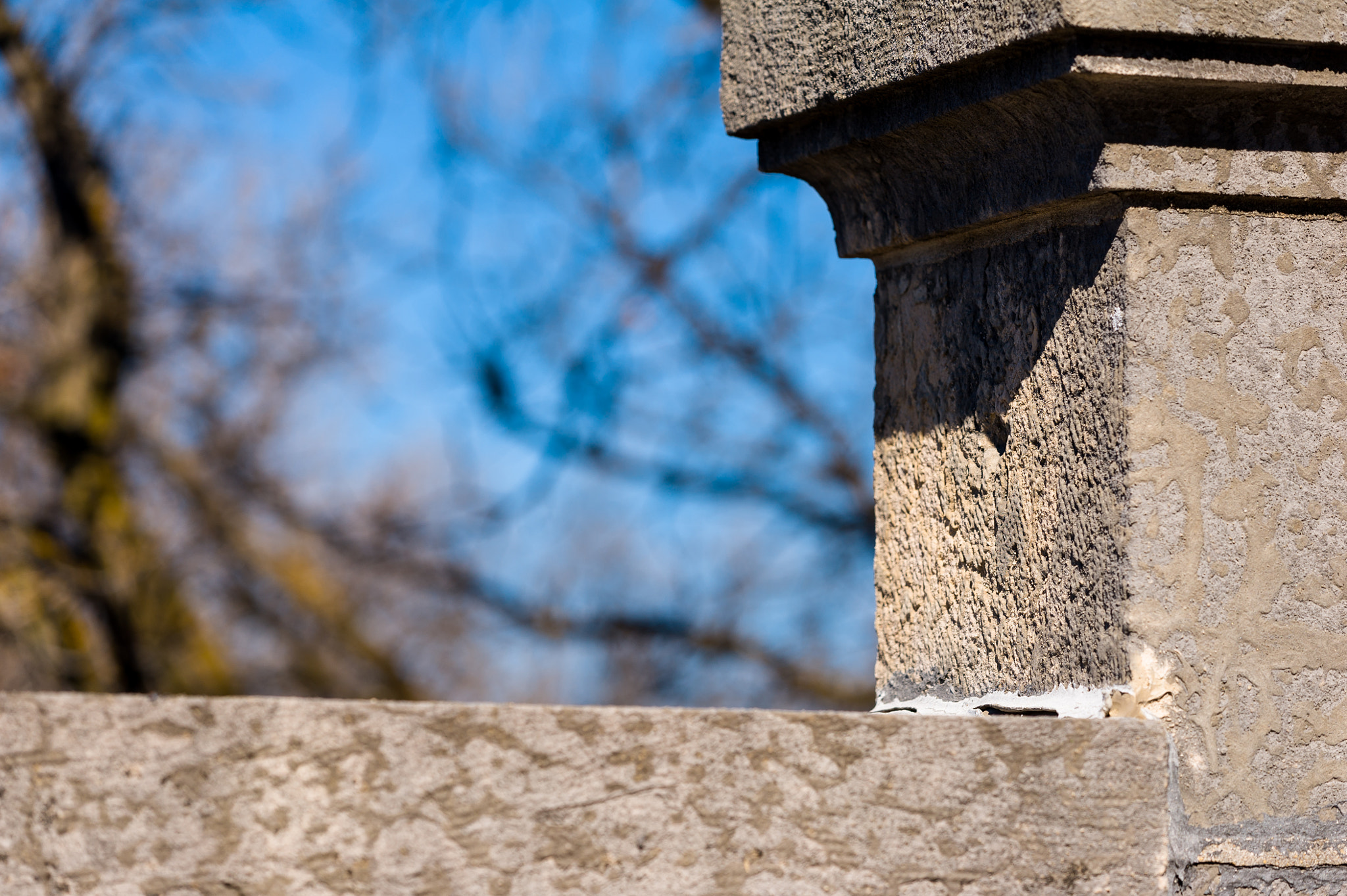 Sigma 150mm F2.8 EX DG Macro HSM sample photo. Spring photography