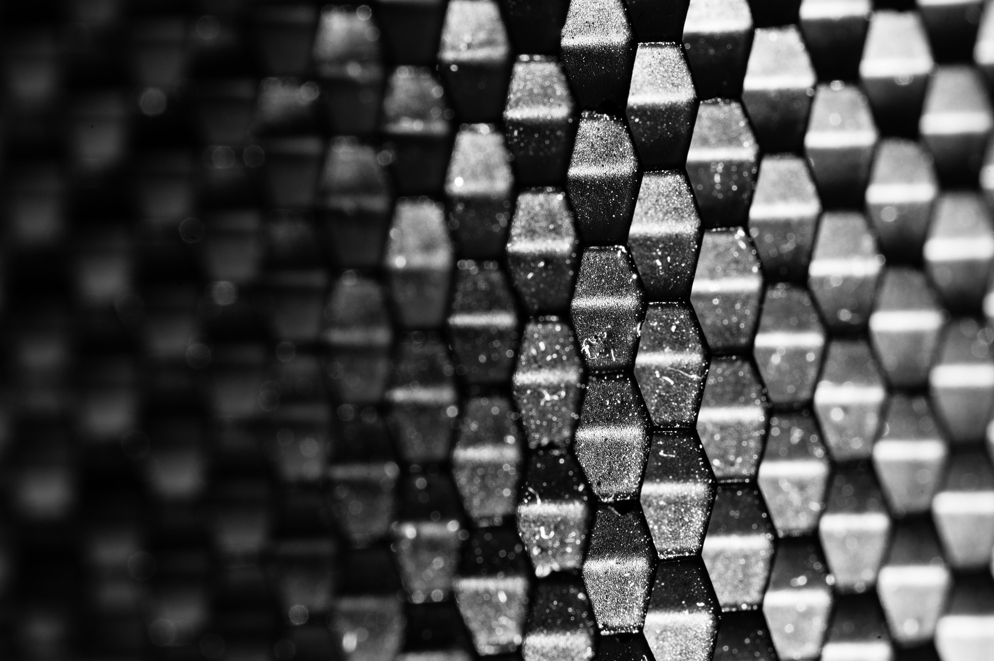 Sigma 150mm F2.8 EX DG Macro HSM sample photo. Degrees photography