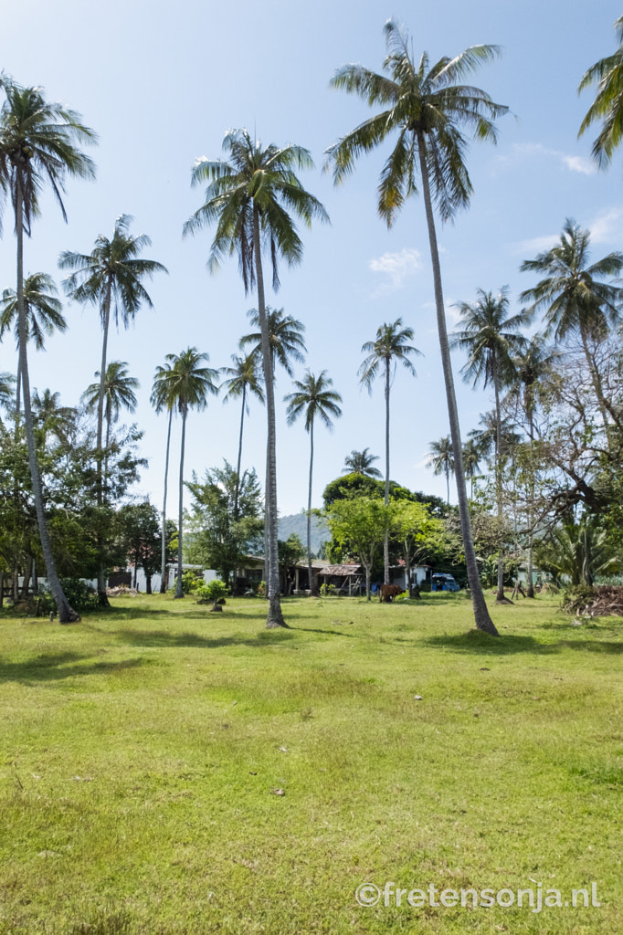 Phuket Thailand by www.fretensonja.nl on 500px.com