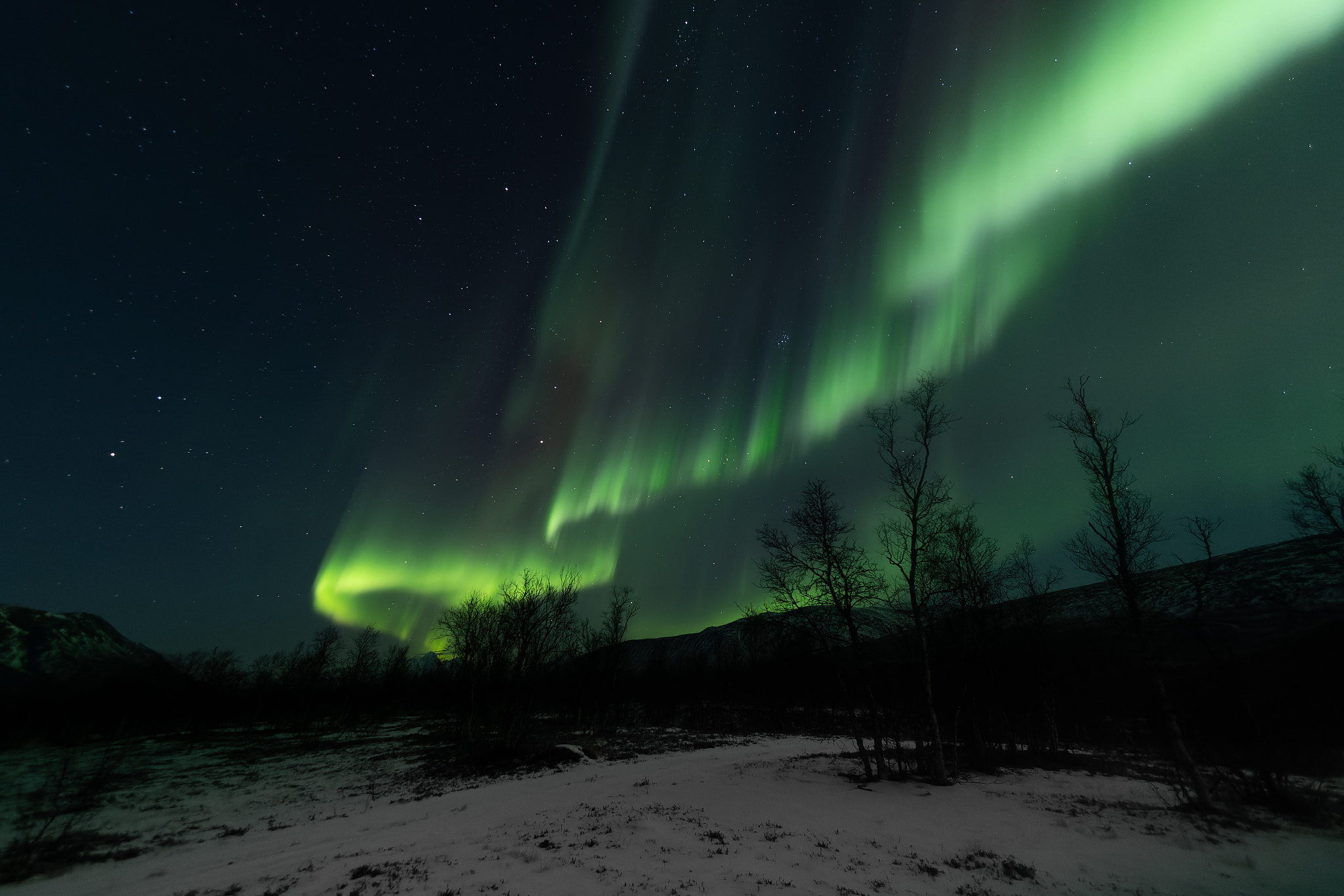 Tromsø: Northern Lights