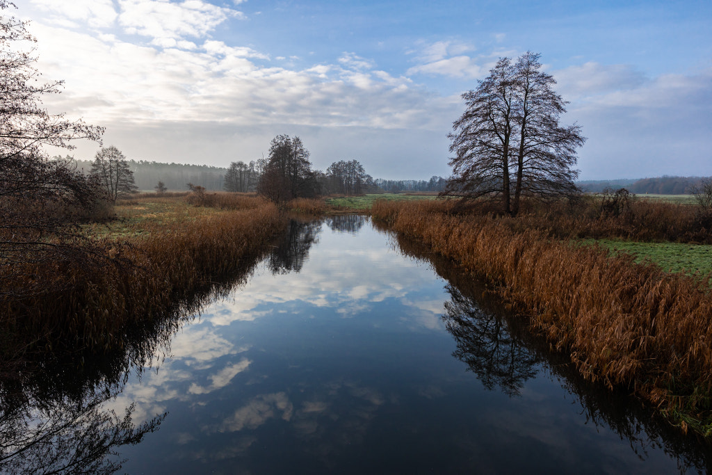 Weihnachten ohne Schnee/ Christmas without Snow by Hannes / 500px