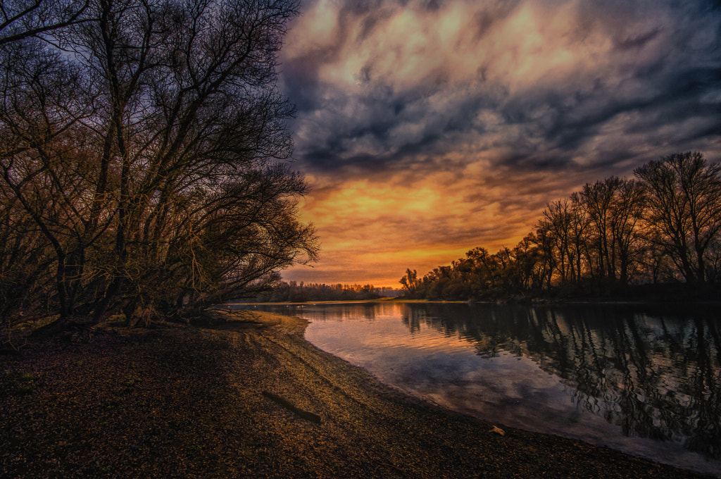 Out In The Swamp By Ralf Thomas 500px 7916