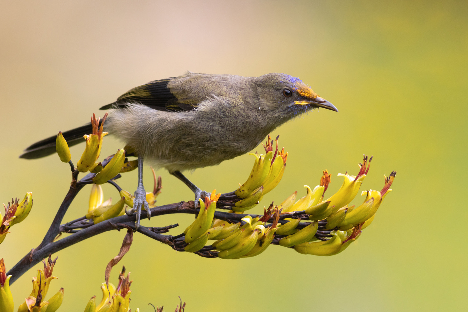 v2?sig=2a8c2c852b8b0f1982e2a227377f3a5e94598562d50d31833092a3f47f8456c9