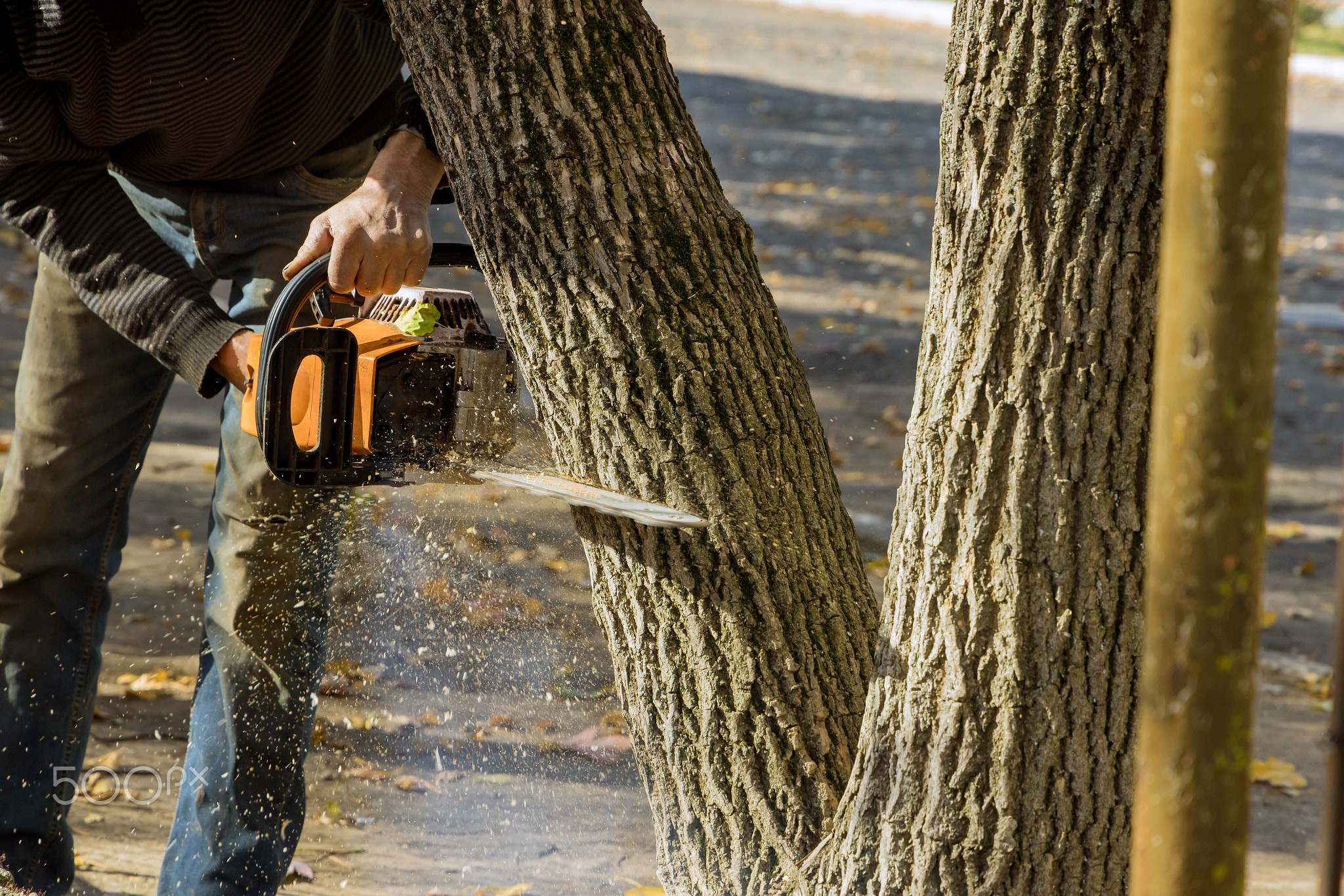 In order to clean the park, a municipal worker uses a chainsaw to cut