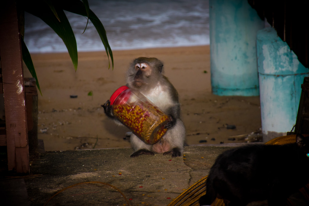 How to open the box ? by L's on 500px.com