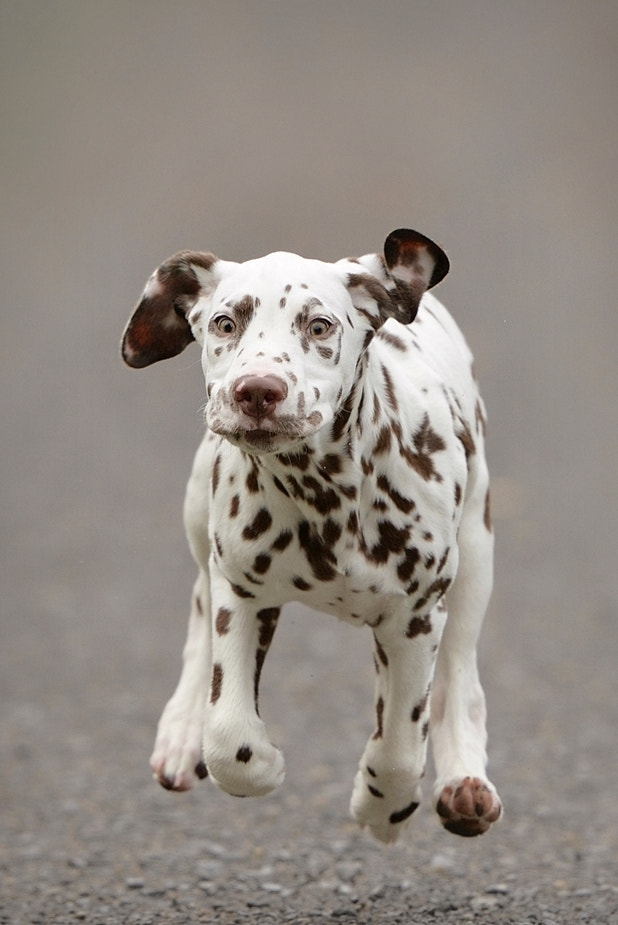 *Running Emil* by Ines Fuchs / 500px