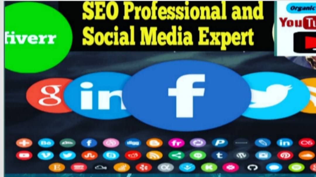 Seo Expert Asraful
