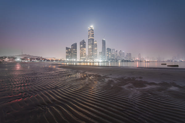 風景 ハワイアンなヤシの木の傍で桜が咲いてる🌸🌴 春にしかない