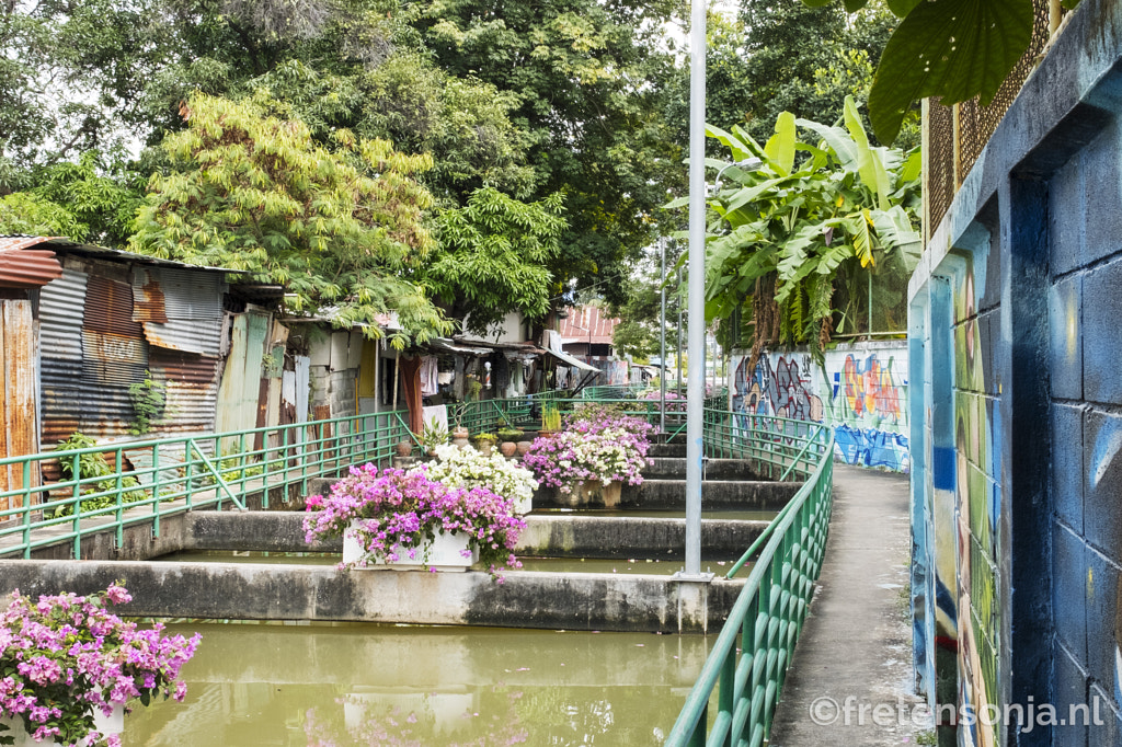 Bangkok by www.fretensonja.nl on 500px.com