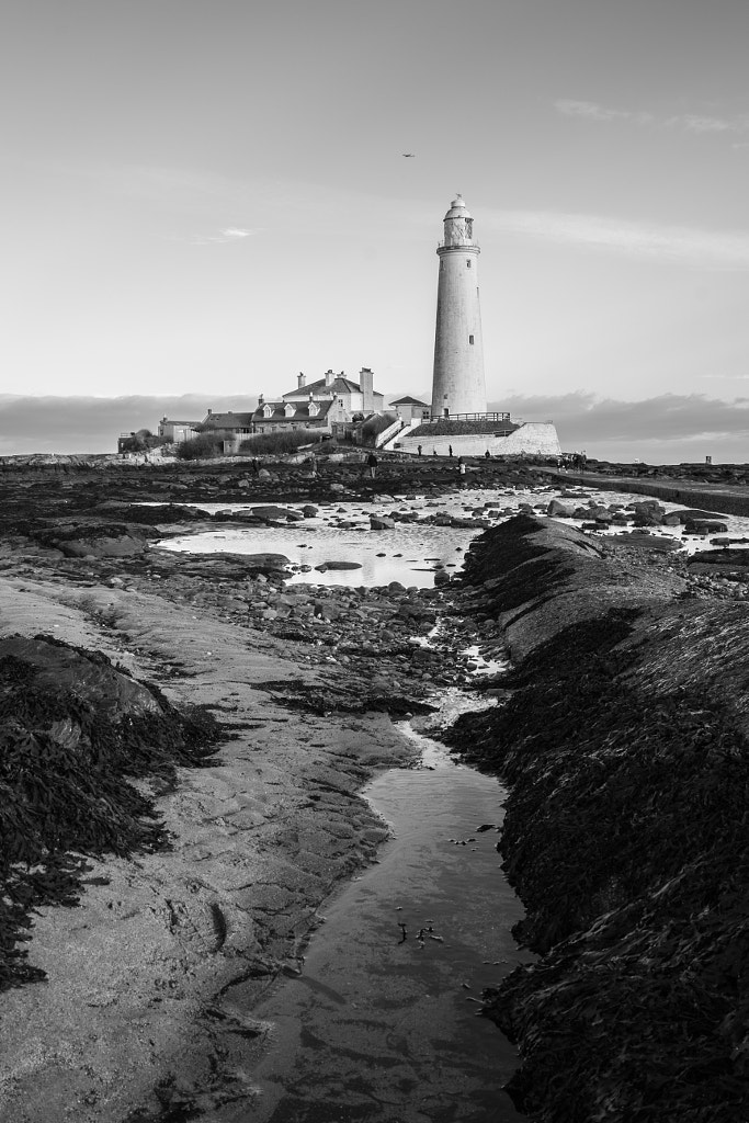 St Mary's Lighthouse by Damien Talbot / 500px