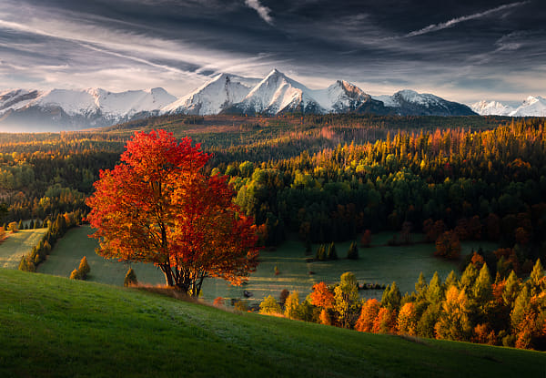 Tatras Autumn by Karol Nienartowicz on 500px.com