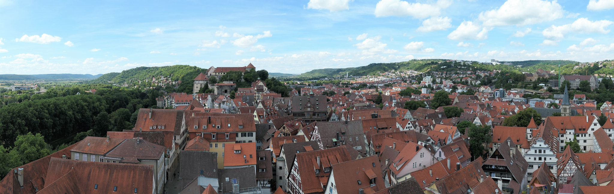 Tübingen City View