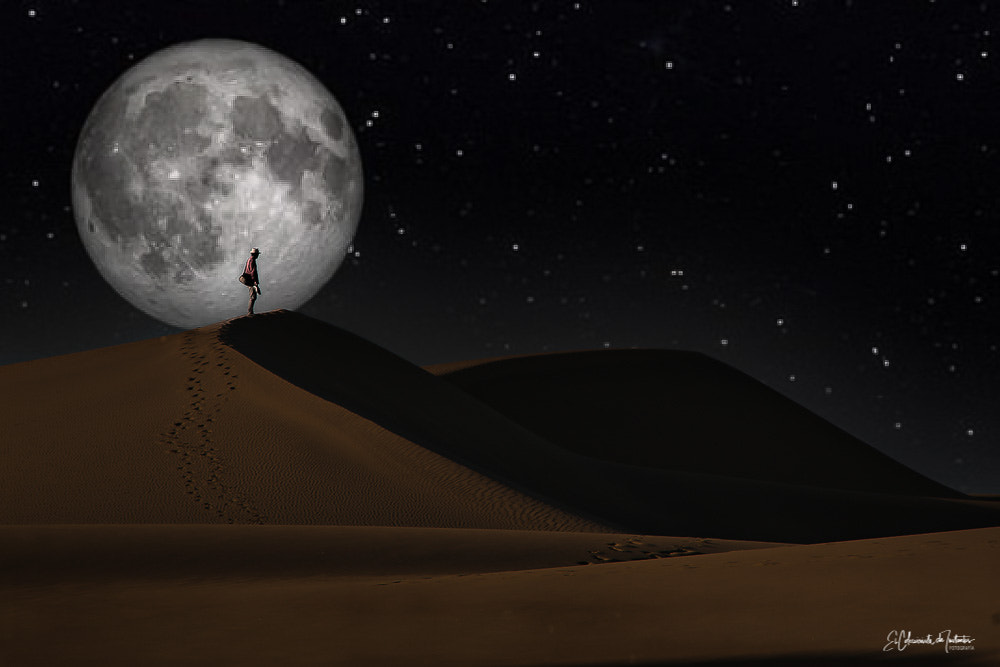 Luna Llena del Lobo Dunas de Maspalomas Gran Canaria Islas Canarias