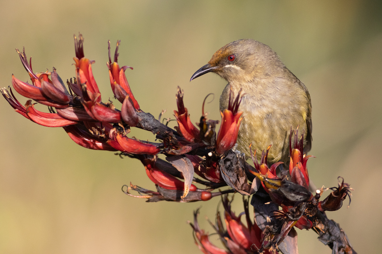 v2?sig=bfc4d6acdf7da2a82d95db99b158c6b51