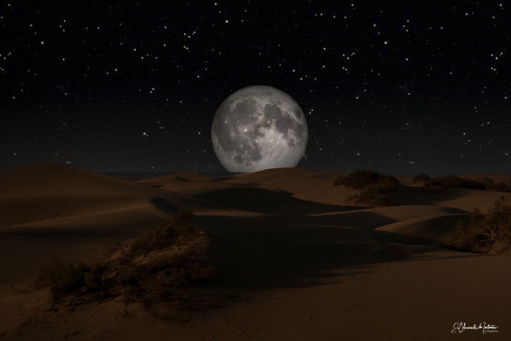 Luna Llena del Lobo Dunas de Maspalomas Gran Canaria Islas Canarias