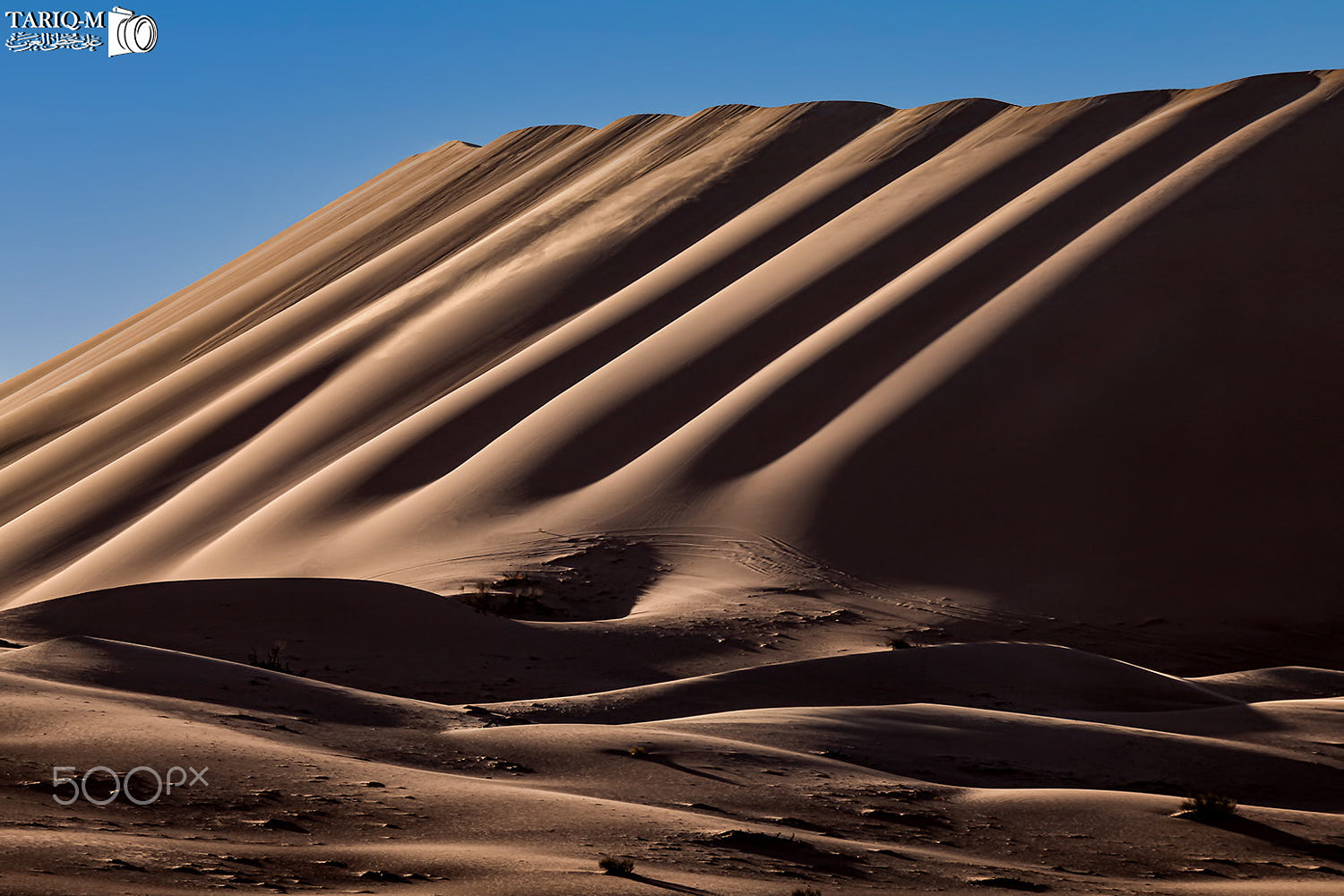 dunes-from-empty-quarter-is-the-largest-continuous-sand-desert-in-the