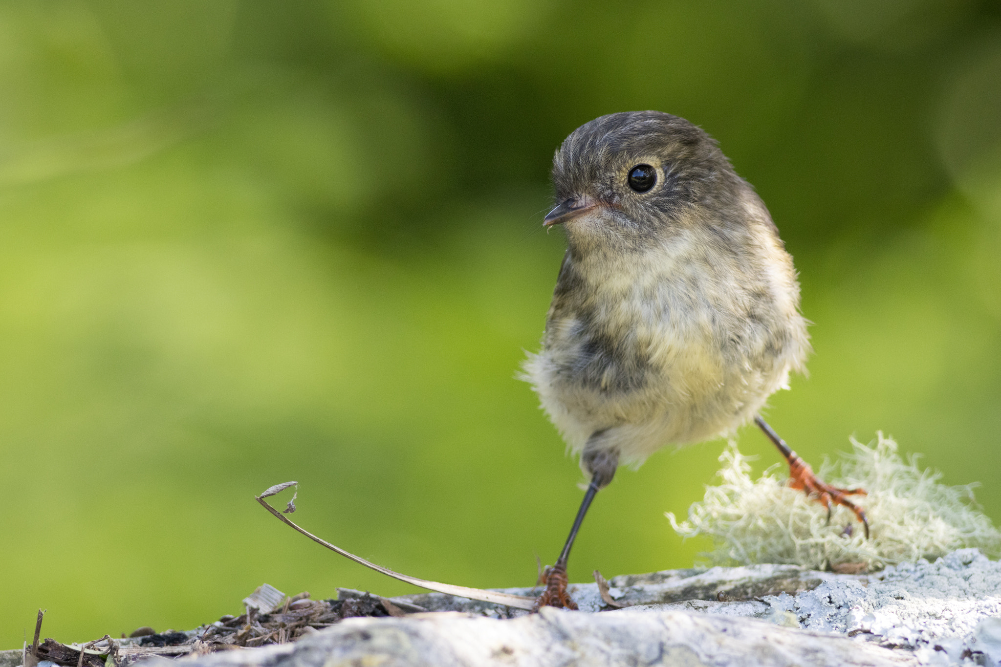 v2?sig=9044f388de702609056751934c827e93964ffd25c7f4590ee51c071dfbac2a1a