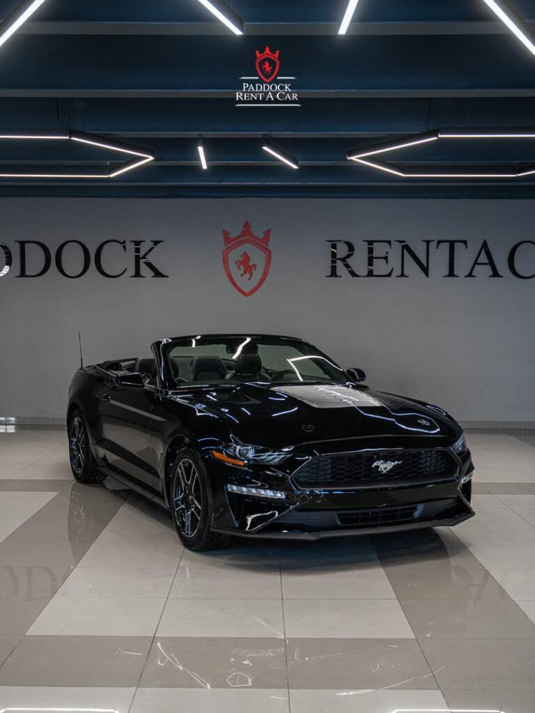 Mustang black