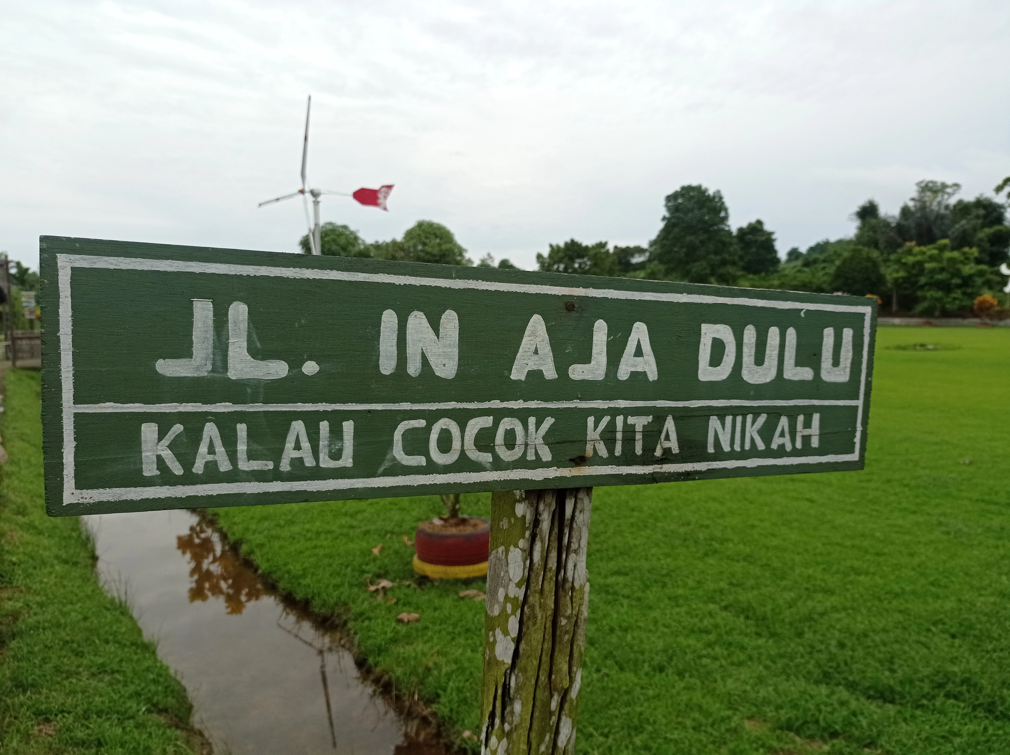Pemandangan 