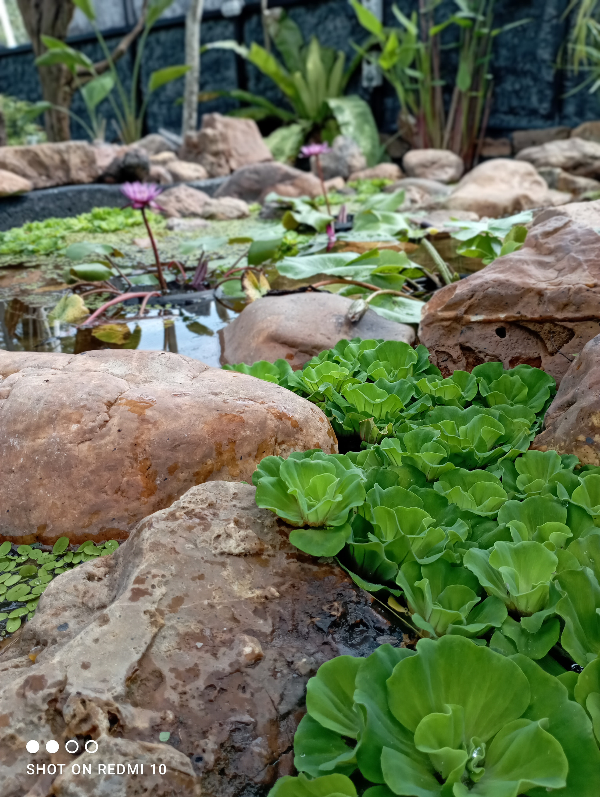 v2?sig=f094de8bc83f5a560e4dceab173e26e7e