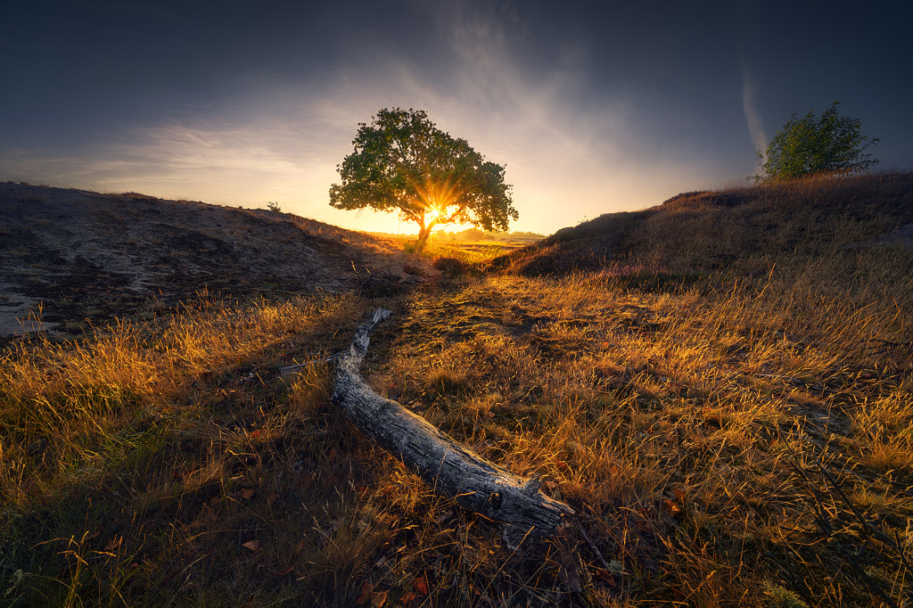 Shadows of life. by Iván Maigua / 500px