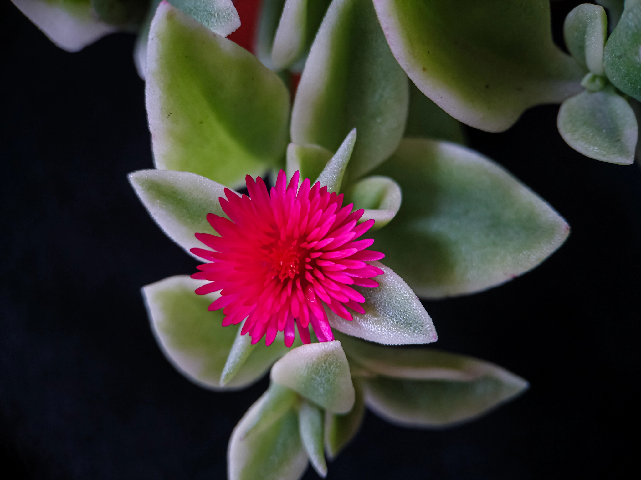 v2?sig=88f30158953be46207ccd2fdbc1d013ad5ed6d814eb5bd25719218878bc61bf0