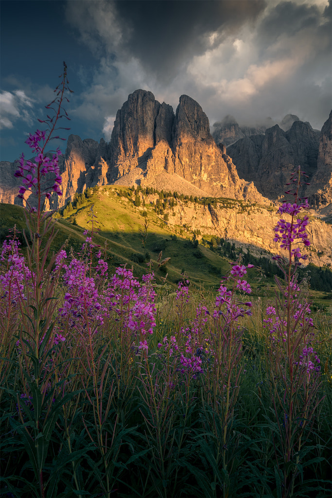 Summer vibes in the Dolomites by Christian on 500px.com