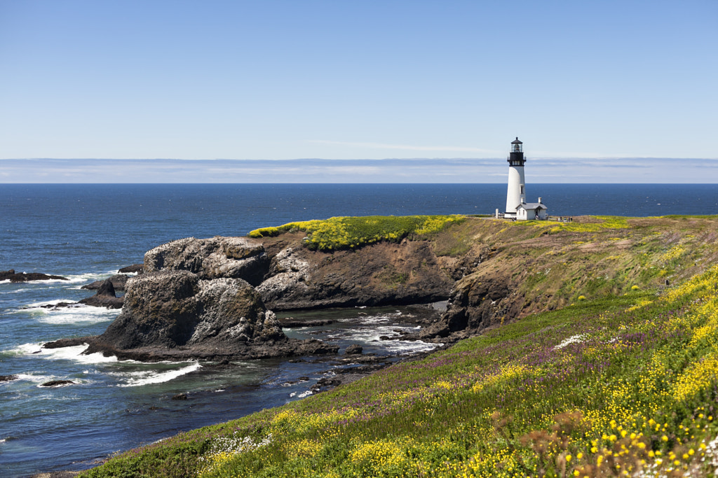 Oregon Pacific Coast Lighthouse by Brenda Landrum on 500px.com