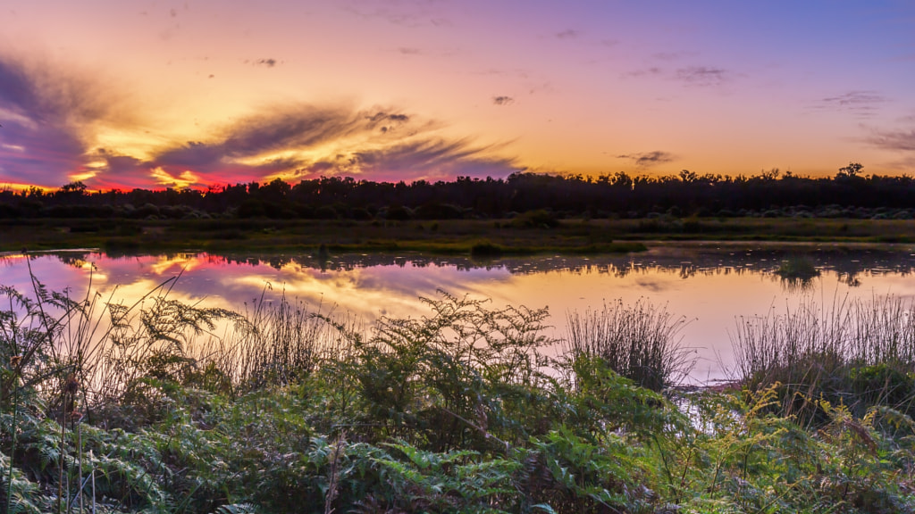 Lake Loch McNess by Camil Bicic / 500px