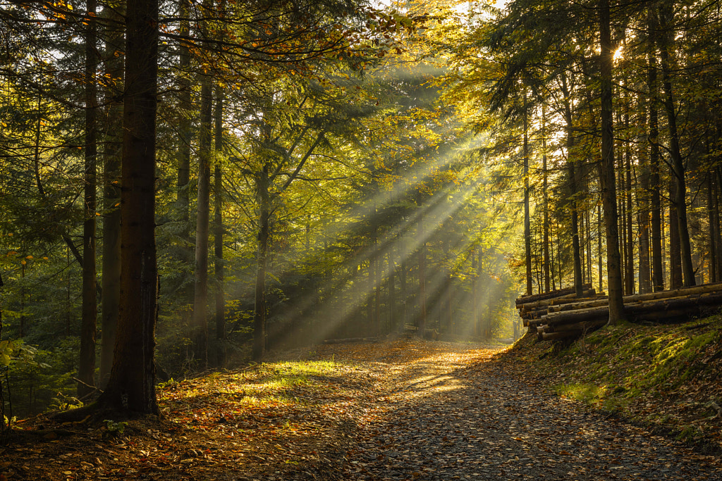 Rešovský vodopád by Milan Štěpán / 500px