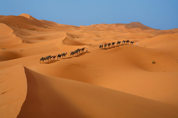 Desert Caravan מאת וולטר ויינברג ב-500px.com