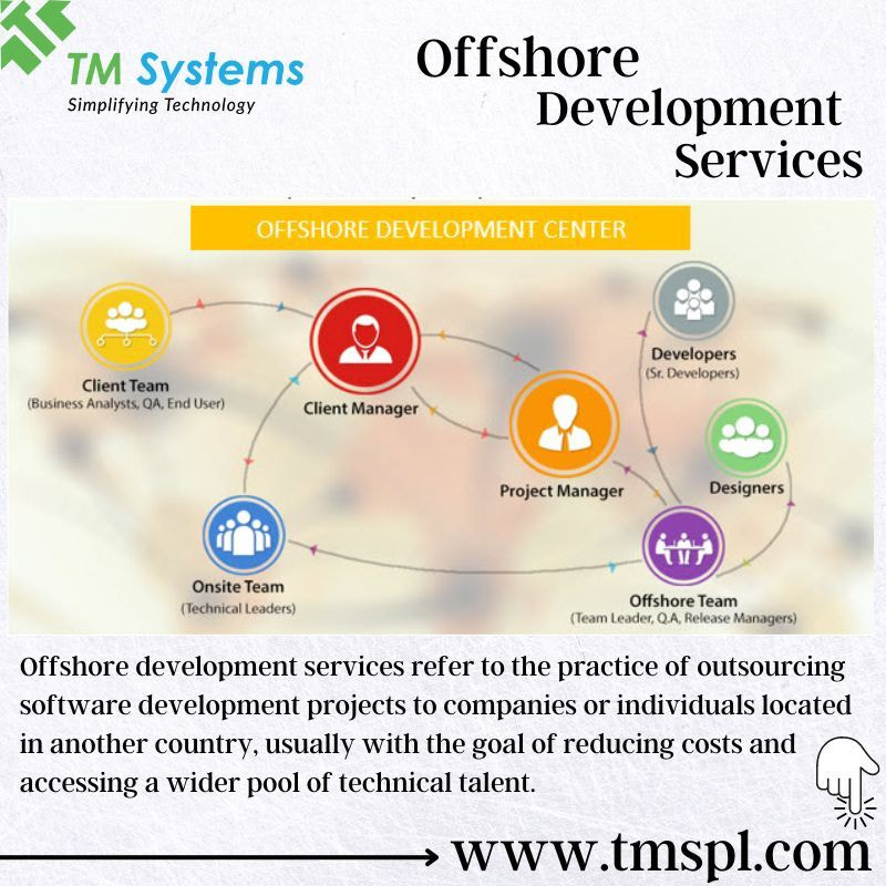 Offshore development service -TM Systems
